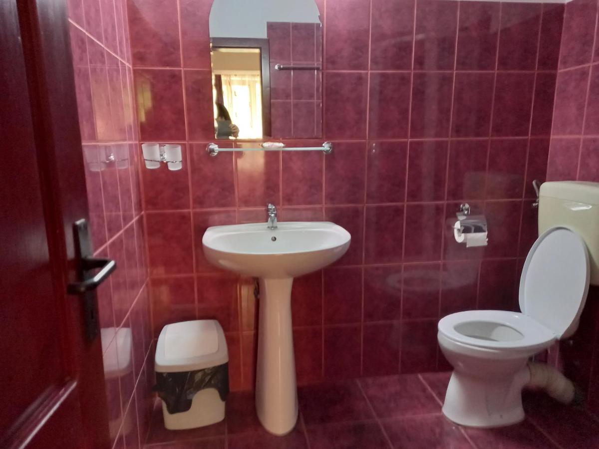 Hotel Elite Baile Herculane Bagian luar foto