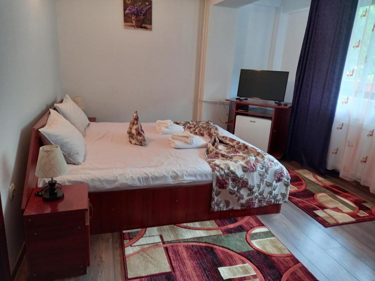 Hotel Elite Baile Herculane Bagian luar foto